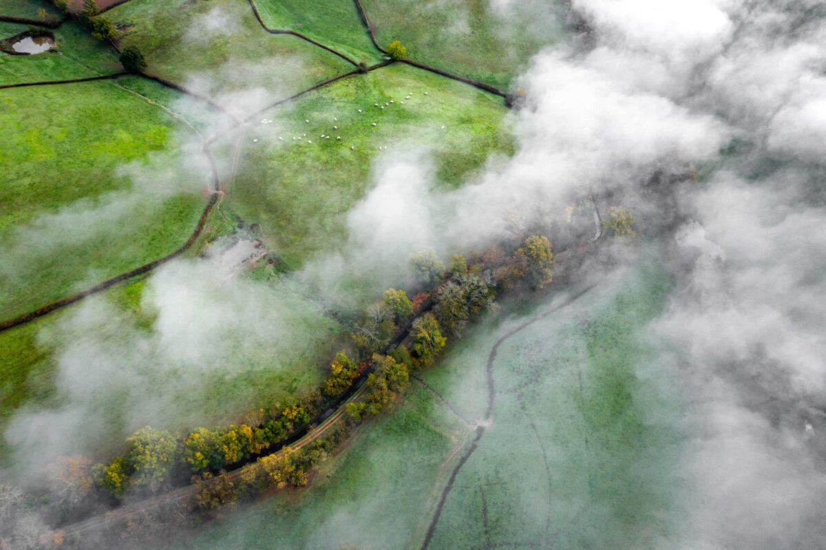 Formation 'Direction Durable' par EcoLearn, offrant des compétences clés pour diriger des initiatives durables et stratégiques au sein des organisations, renforçant ainsi l'engagement envers la durabilité environnementale et sociale.